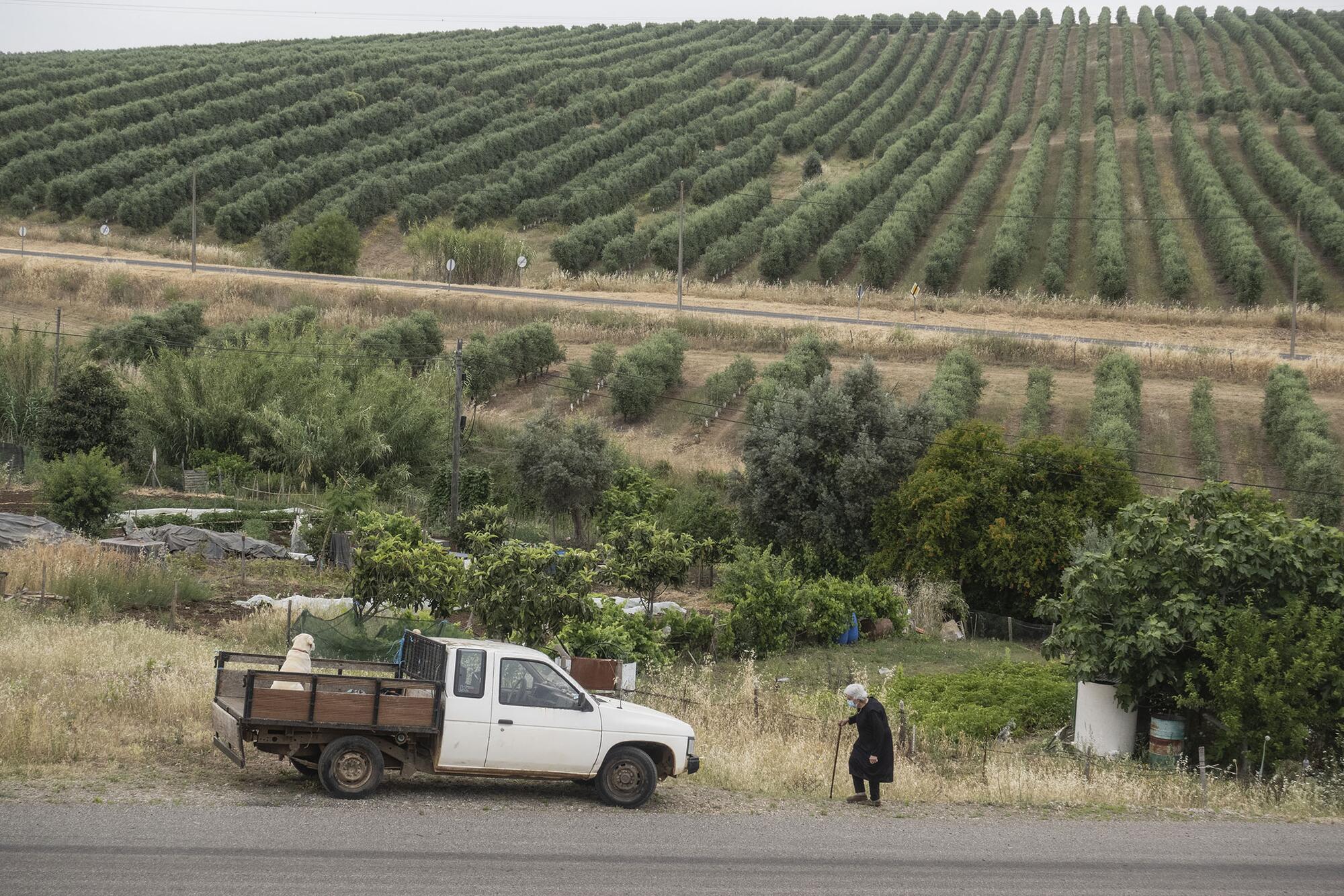 Olivares Alentejo - 4